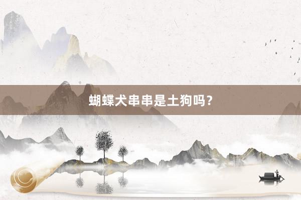 蝴蝶犬串串是土狗吗?