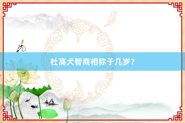 杜高犬智商相称于几岁？